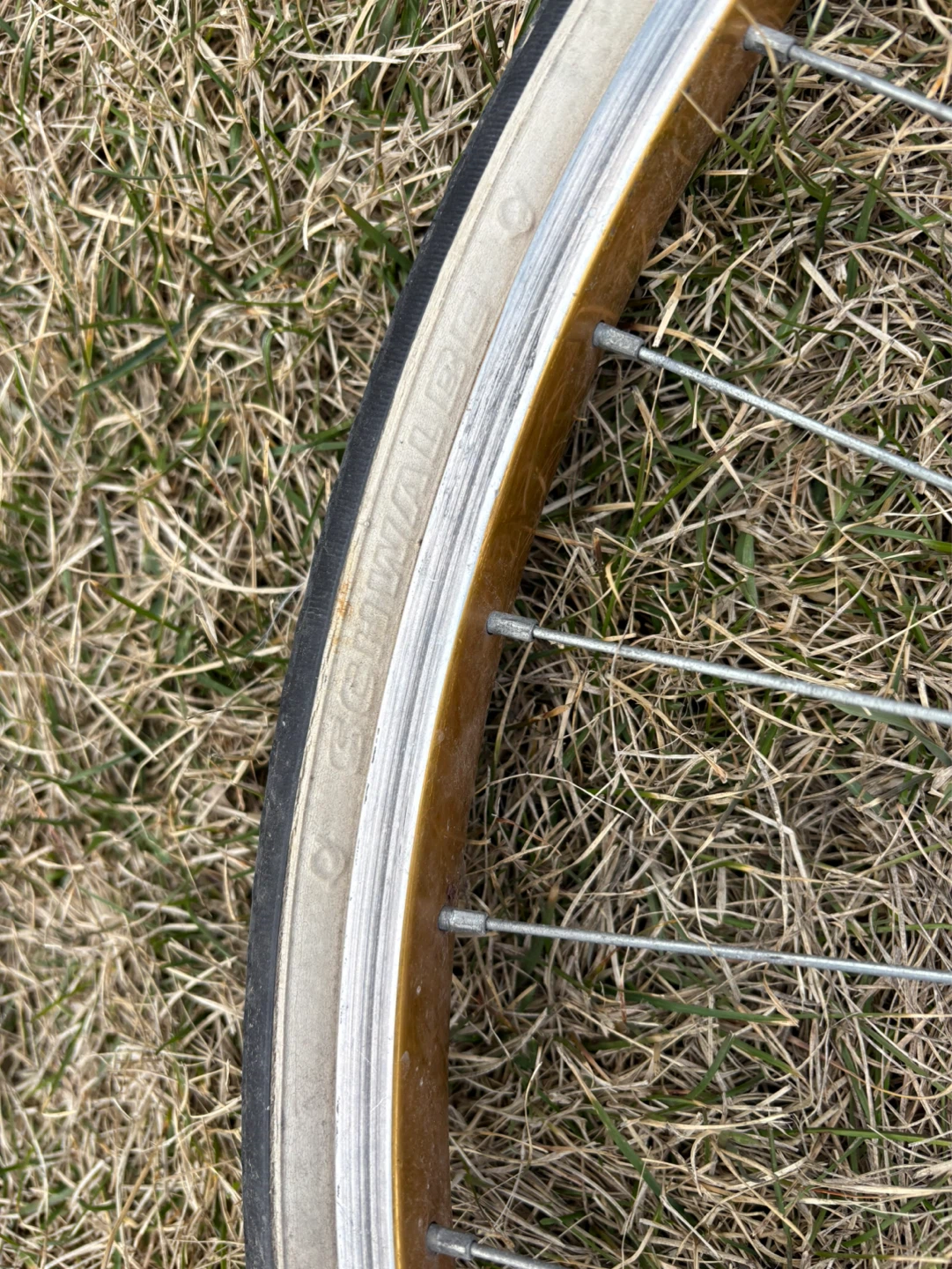 Schwalbe Puncture Protection Bicycle Tire - photo 2