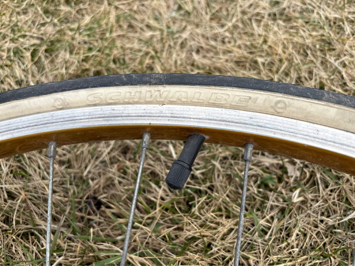 Schwalbe Puncture Protection Bicycle Tire - photo 4