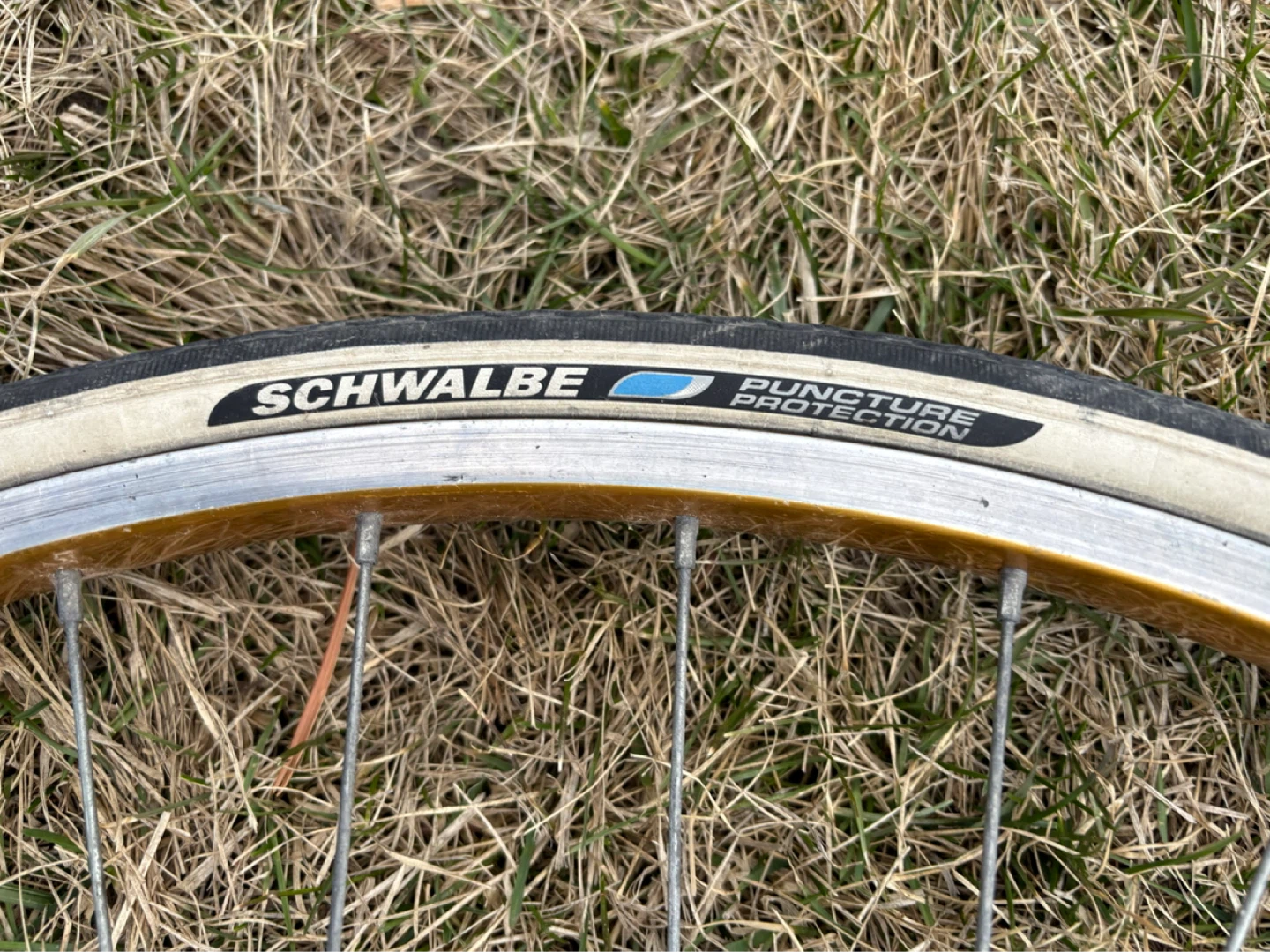 Schwalbe Puncture Protection Bicycle Tire - photo 5