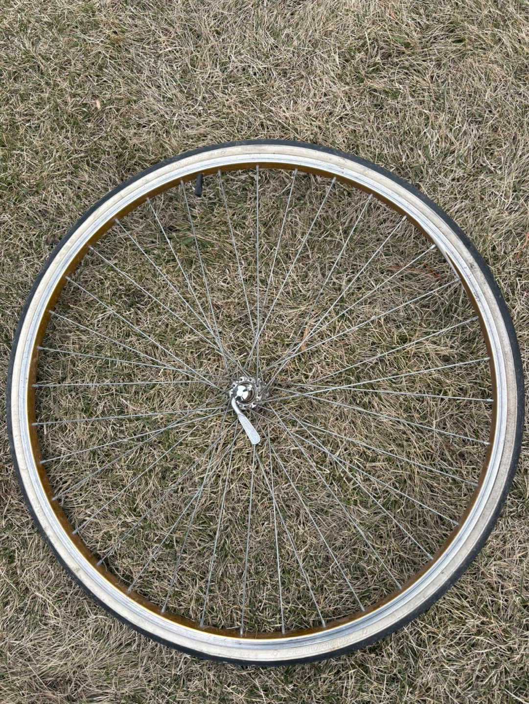 Schwalbe Puncture Protection Bicycle Tire
