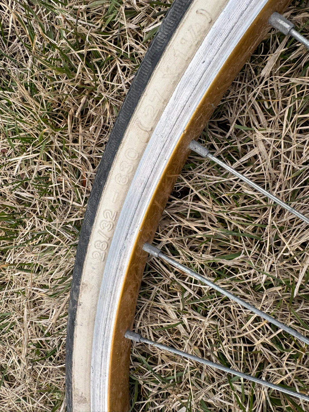 Schwalbe Puncture Protection Bicycle Tire - photo 3