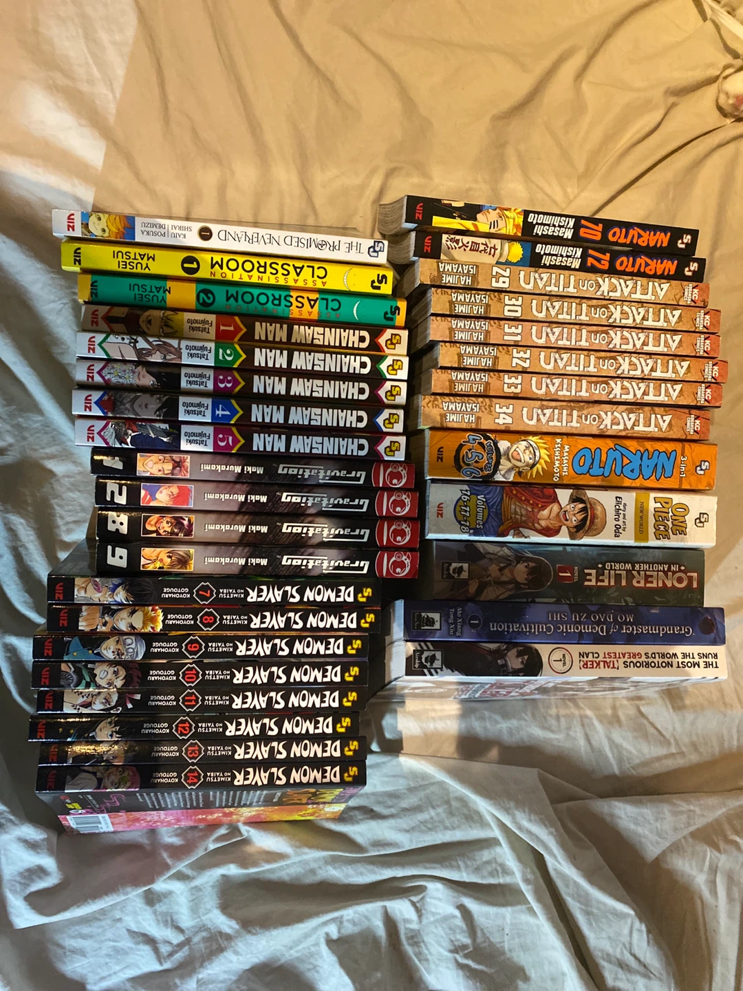 Manga lot