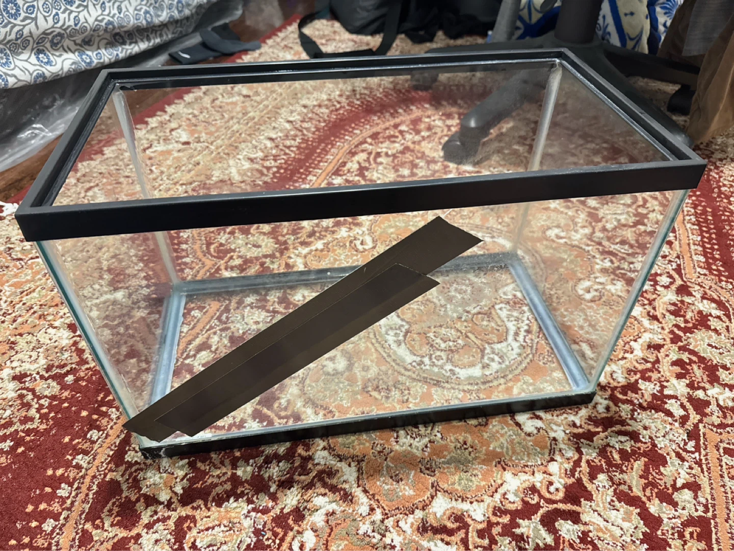 Glass Terrarium Tank - photo 2
