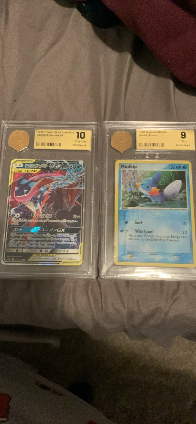 Greninja & Zoroark GX (Graded 10) & Mudkip Promo (Graded 9) by