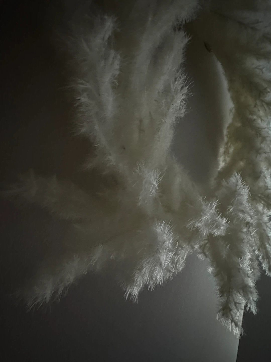 White Pampas Grass Wreath - photo 2