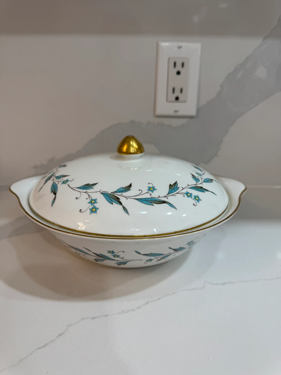 Myott Carisbrooke Dinnerware - photo 4