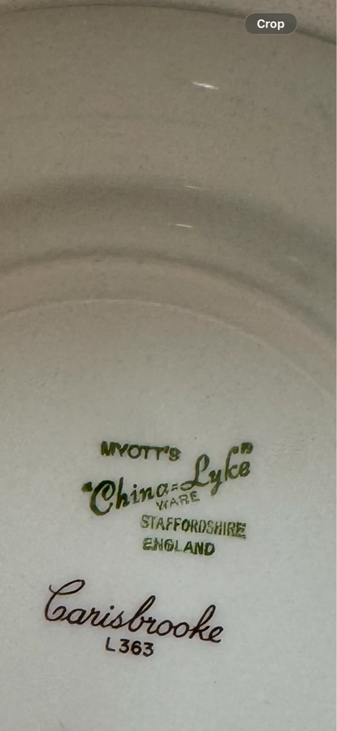 Myott Carisbrooke Dinnerware - photo 3