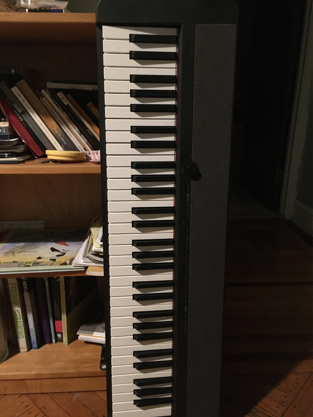 Casio Portable Keyboard