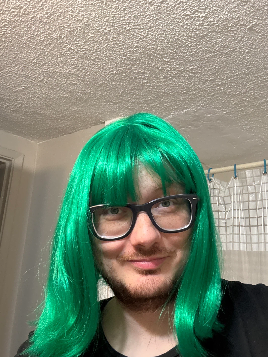 Assorted Costume Wigs - Green, Red, Purple - photo 2
