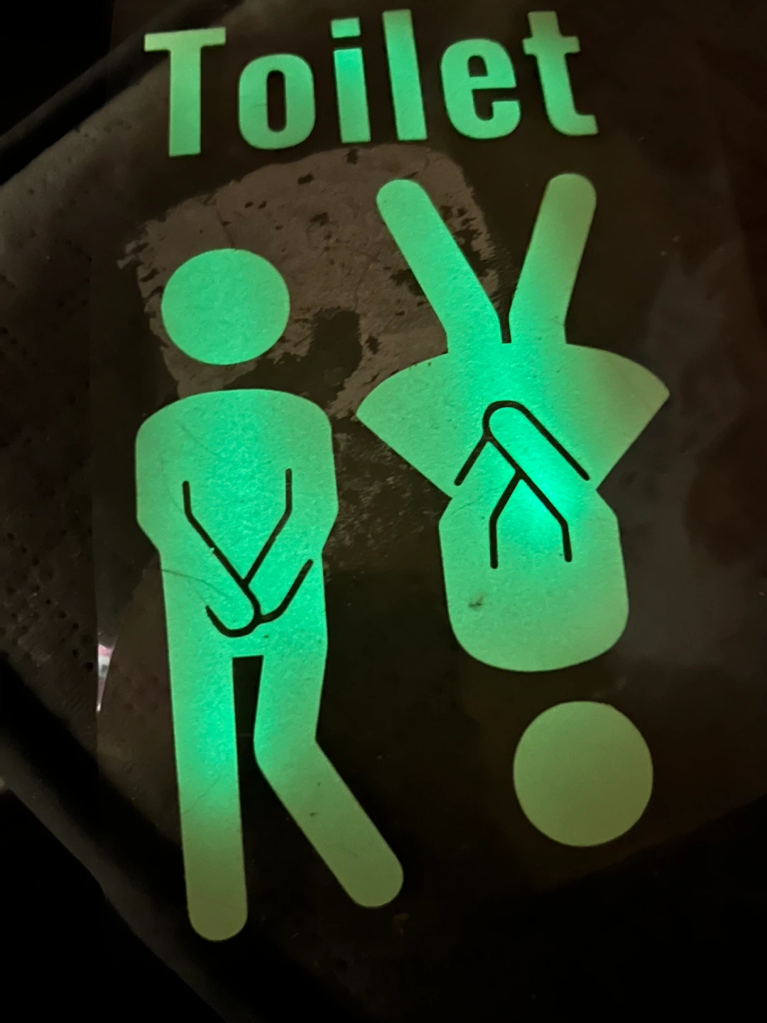 Glow-in-the-dark Toilet Sign Decal - photo 2