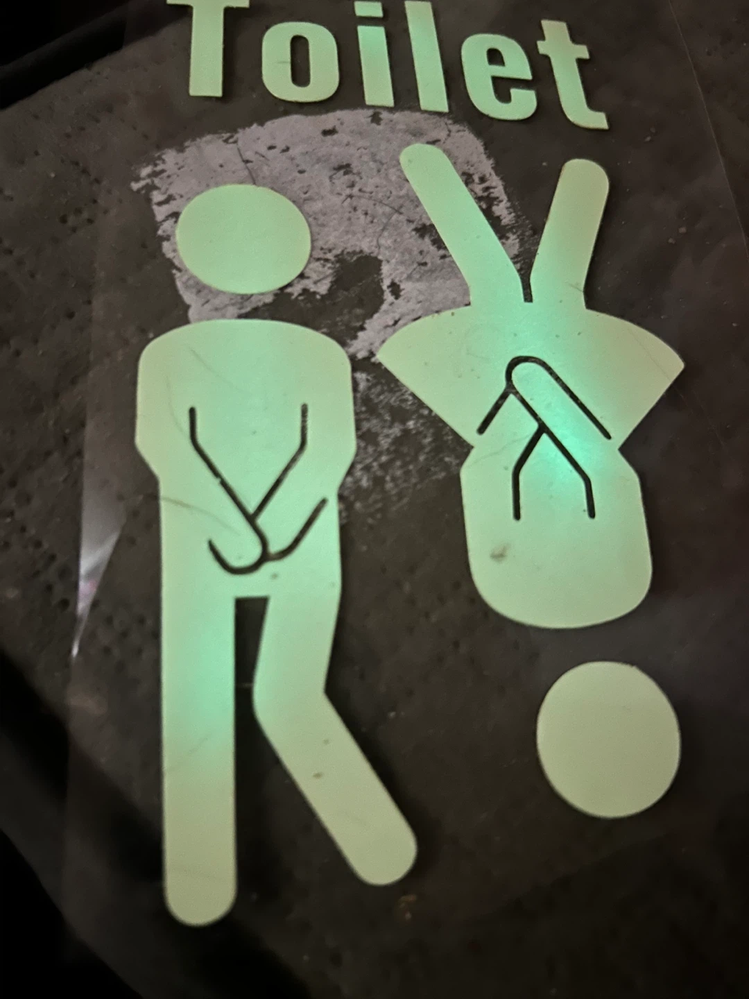 Glow-in-the-dark Toilet Sign Decal - photo 3