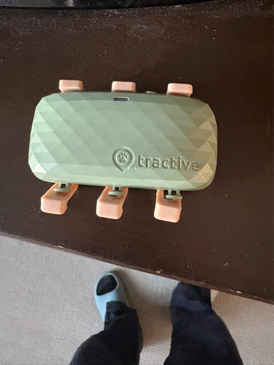 Tractive GPS Tracker for Pets