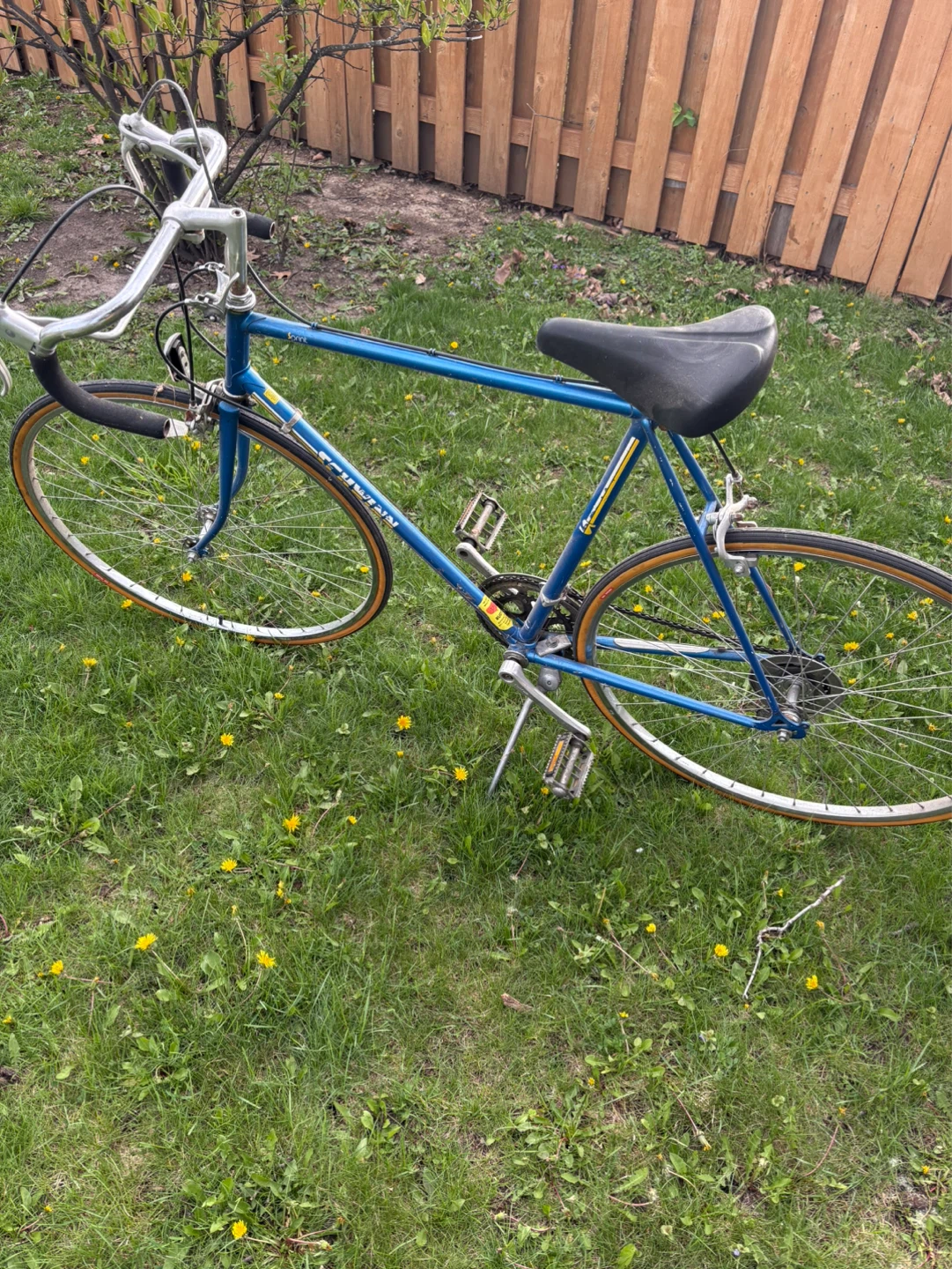 Schwinn Men's Road Bike
