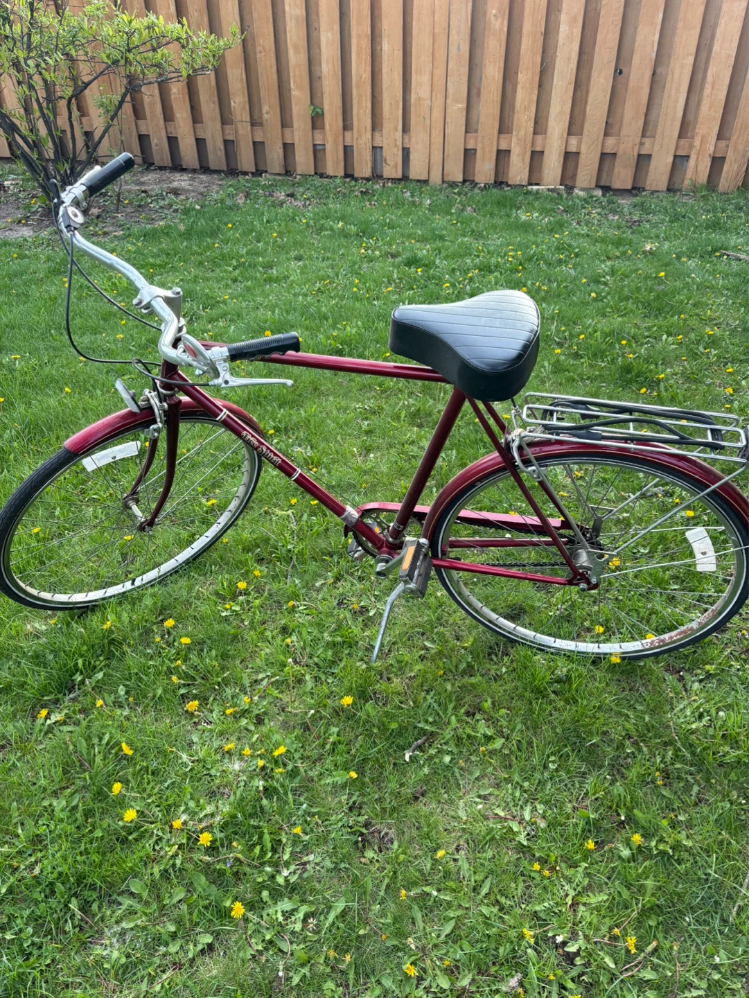 Vintage Free Spirit Bicycle - Red