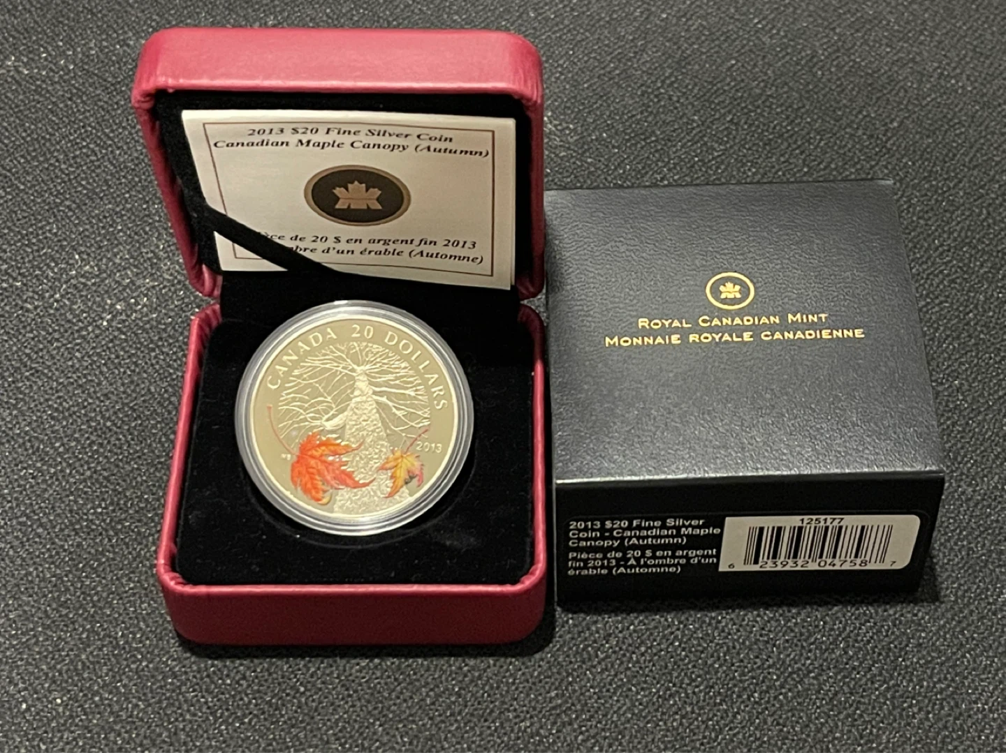 2013 $20 Fine Silver Coin - Canadian Maple Canopy (Autumn)