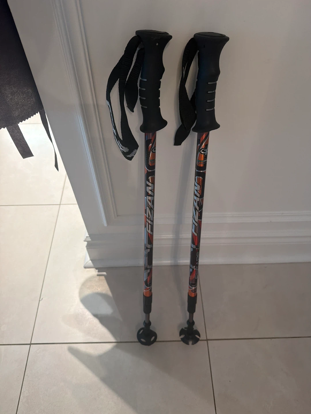 Fizan Ski Poles