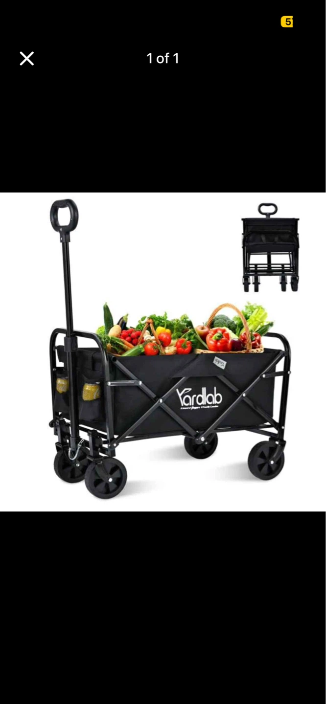 Folding Wagon