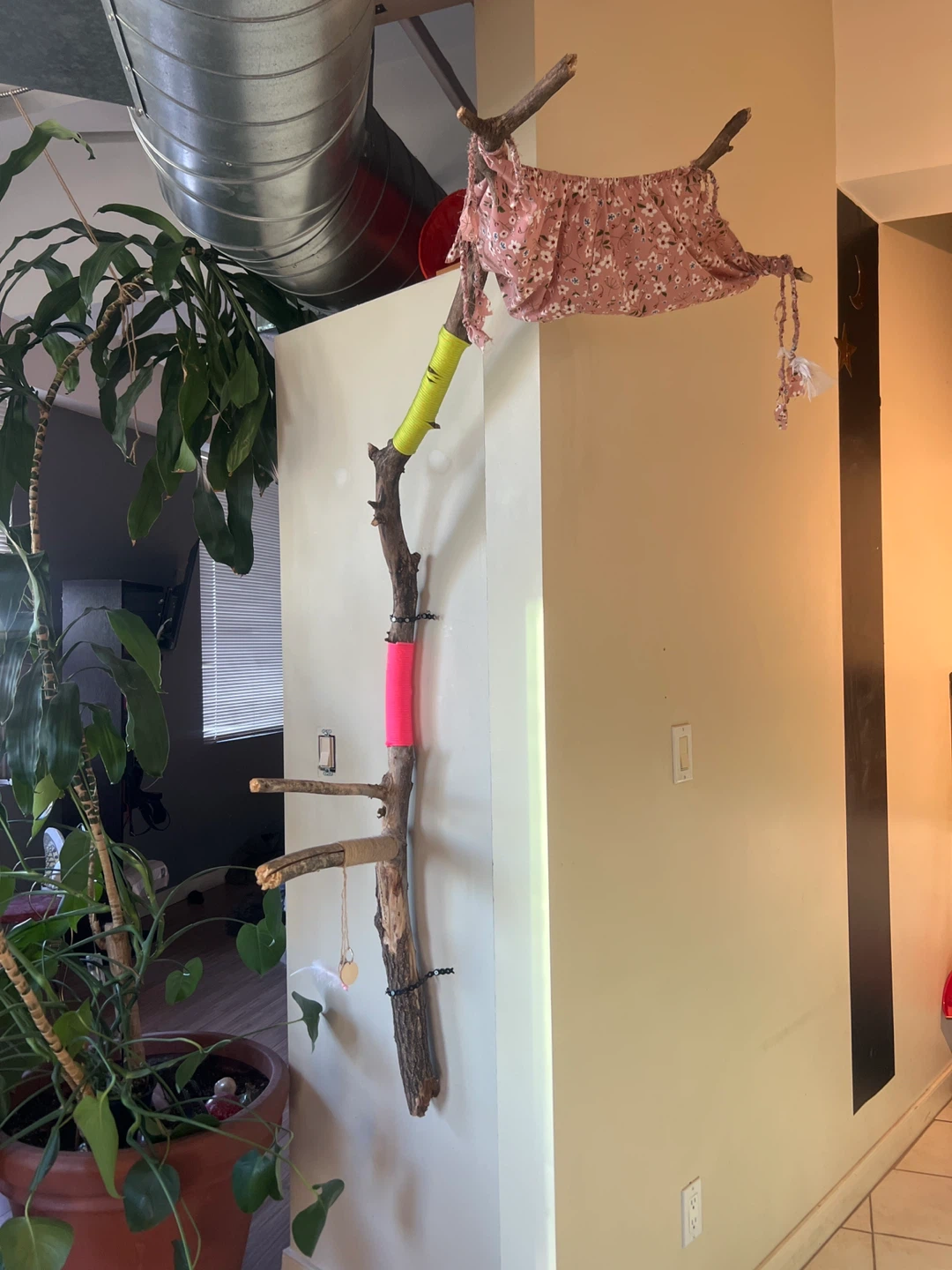Not your normal cat tree