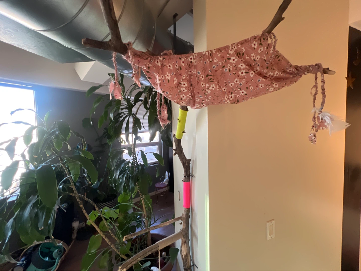 Not your normal cat tree - photo 5