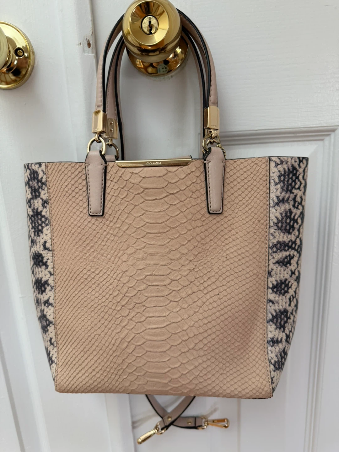 Coach Madison Python Embossed Mini Tote