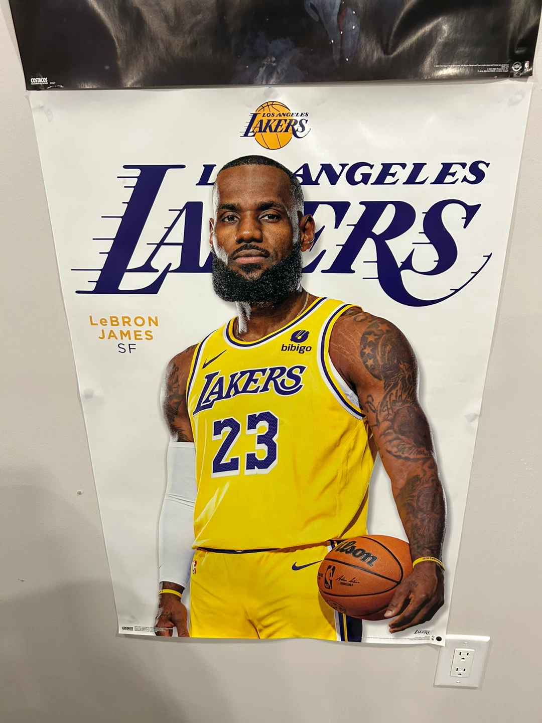 LeBron James Poster