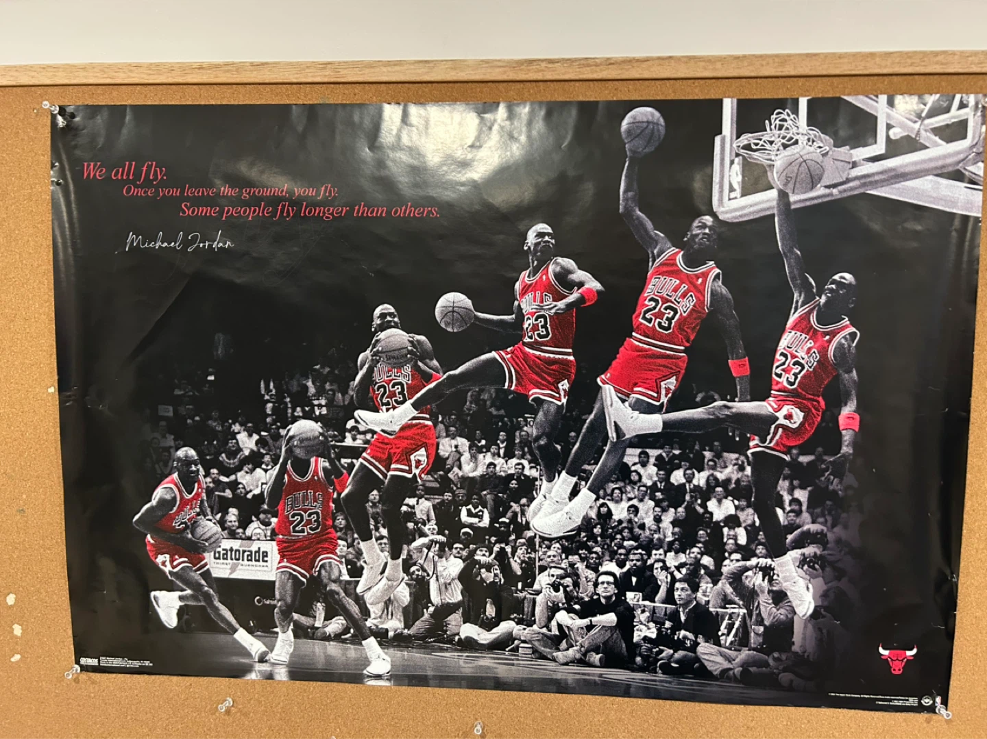 Michael Jordan Posters (two) - photo 2