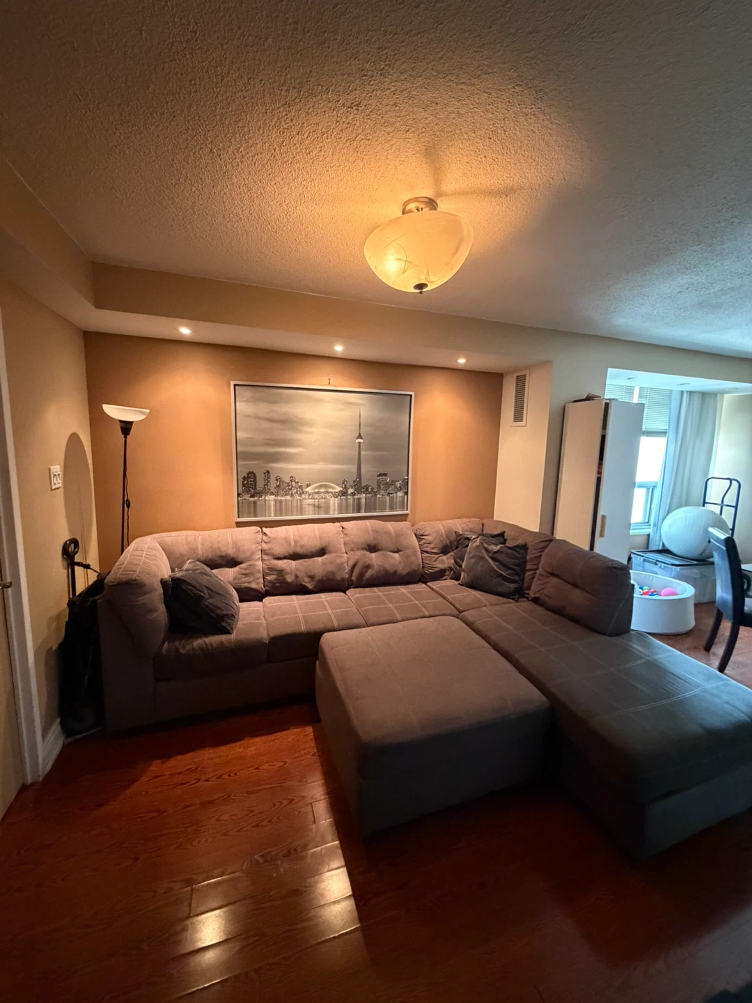 Grey Sectional Sofa with Ottoman