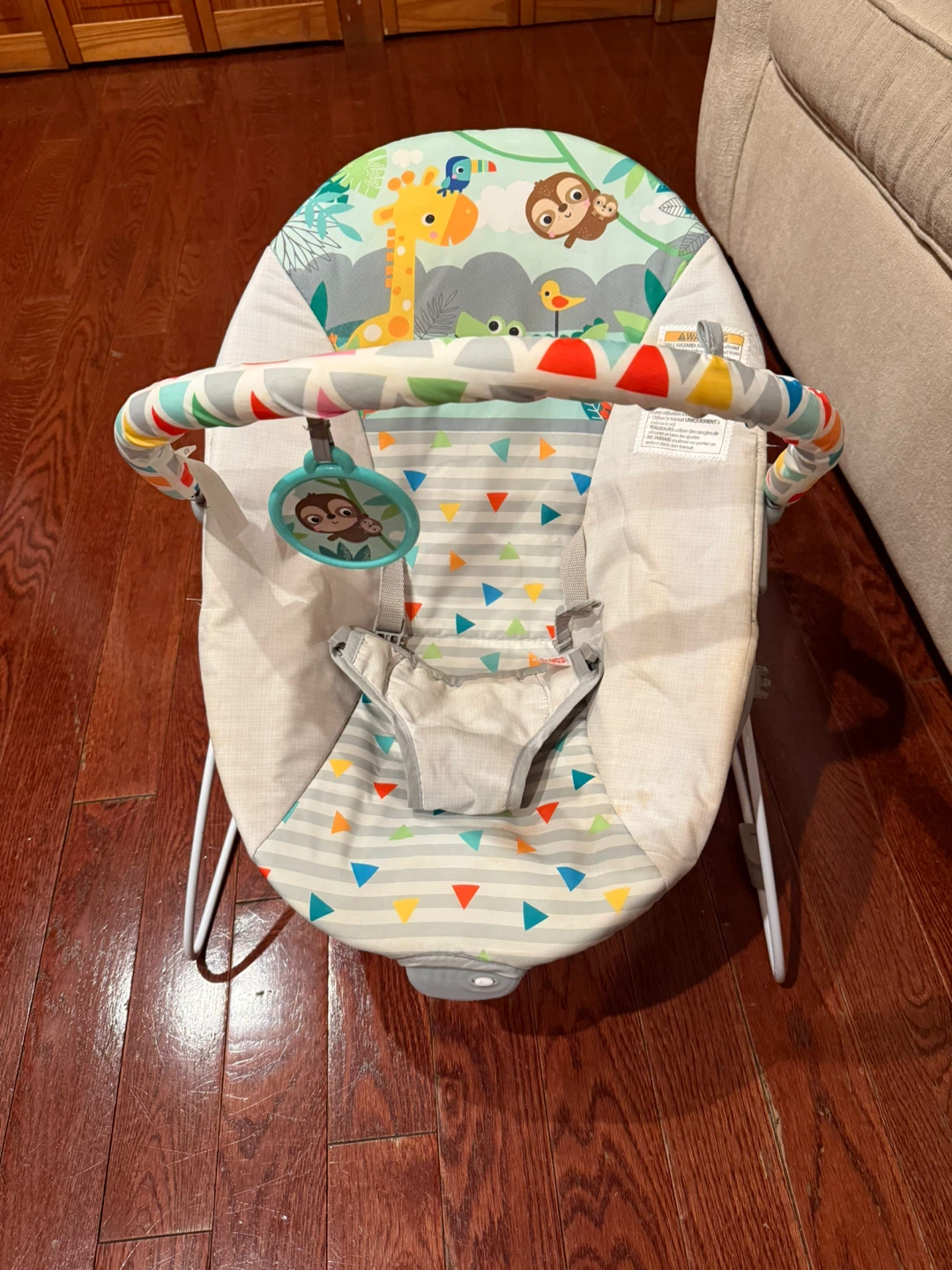 Fisher-Price Infant-to-Toddler Rocker - photo 3