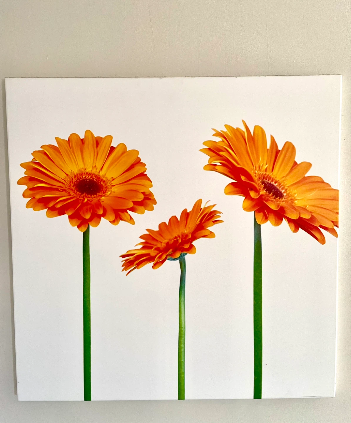 Wall art set of 2 - photo 2