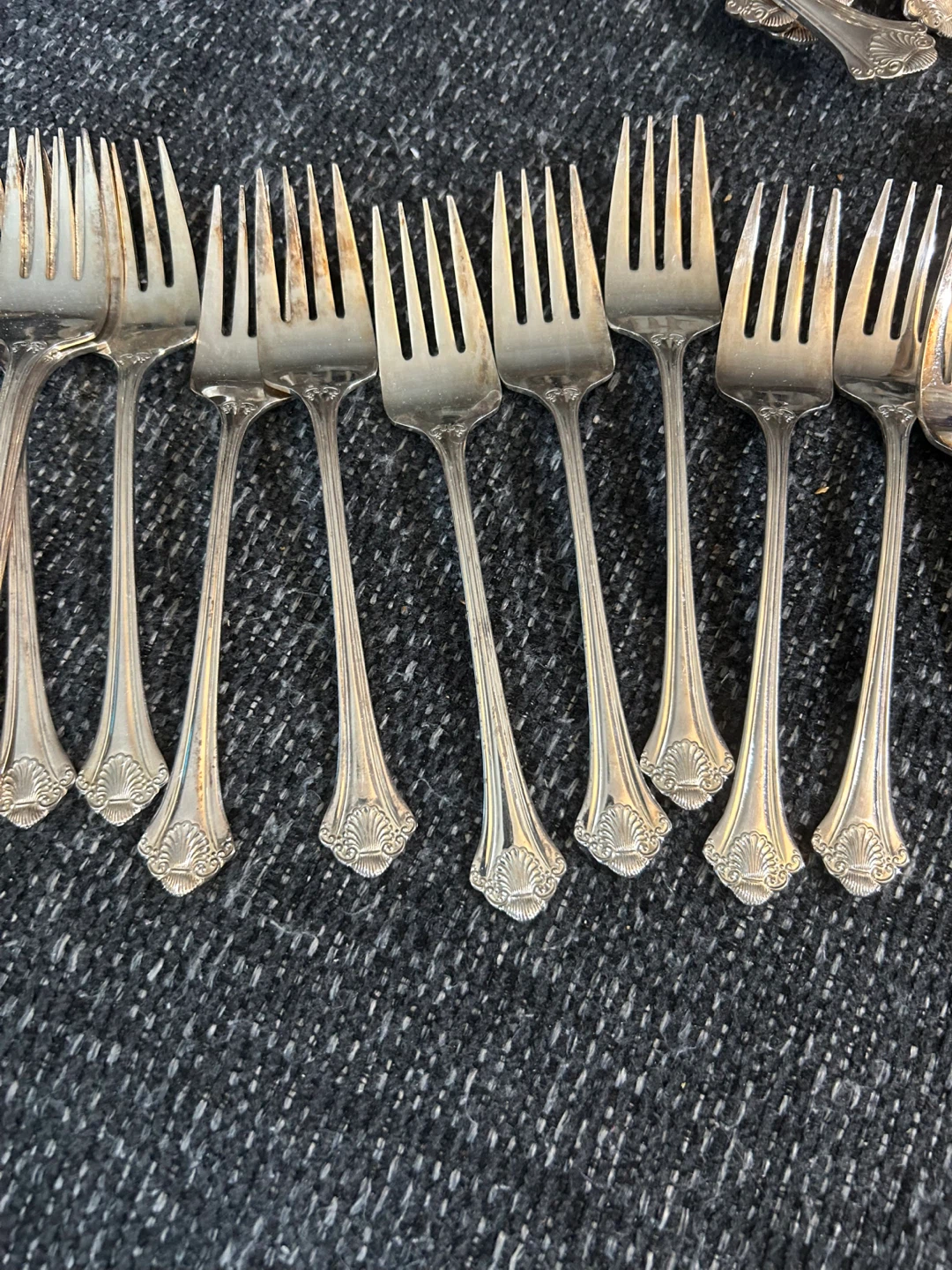 Silver Plated Stainless Steel Forks (Set of 12)