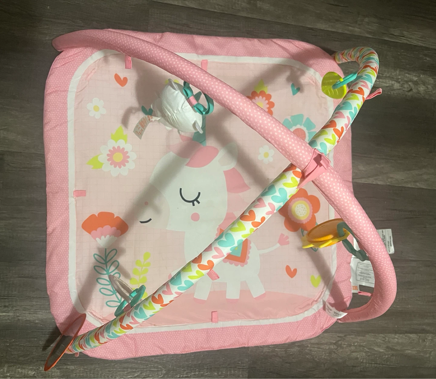 Play Gym with Unicorn Design
