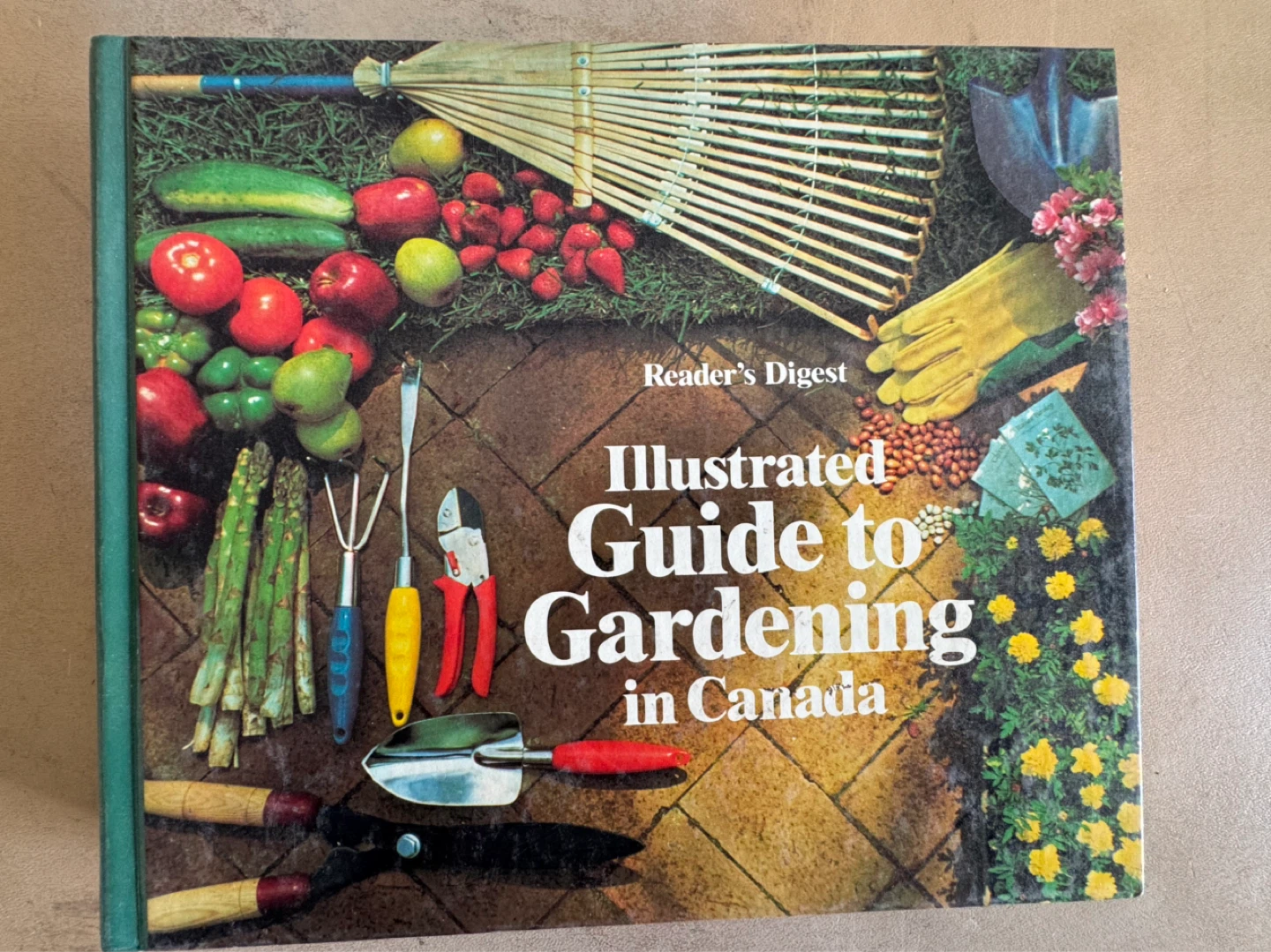 : Cake Decorating, Chocolate, Gardening - photo 5