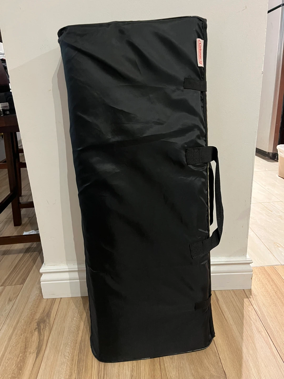 Coleman Outdoor Mat with Carry Bag