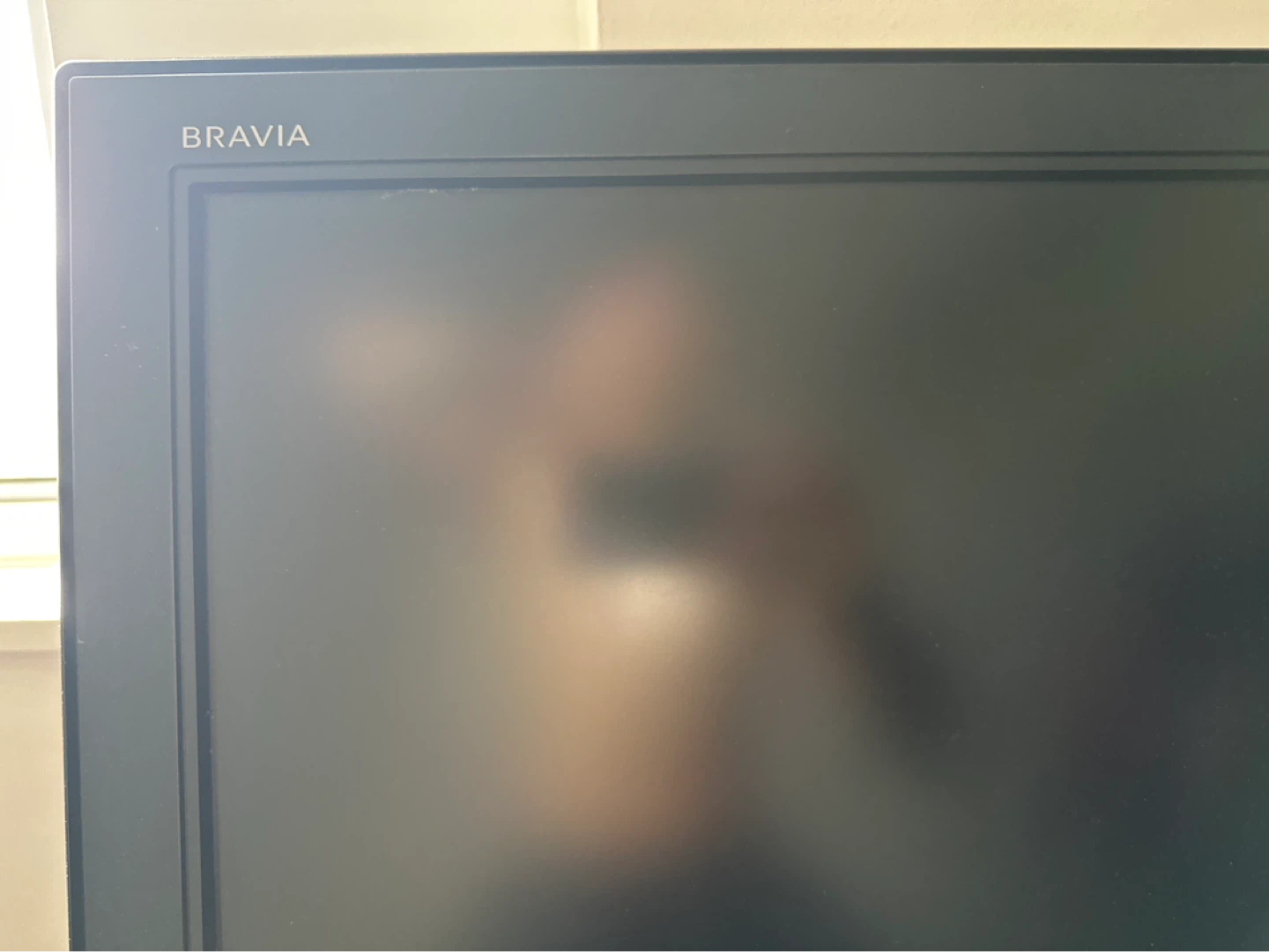Sony Bravia Flat Screen TV - photo 2