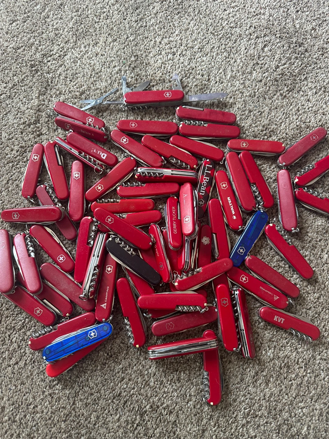 Swiss Army knife one for 10and 11for 100$