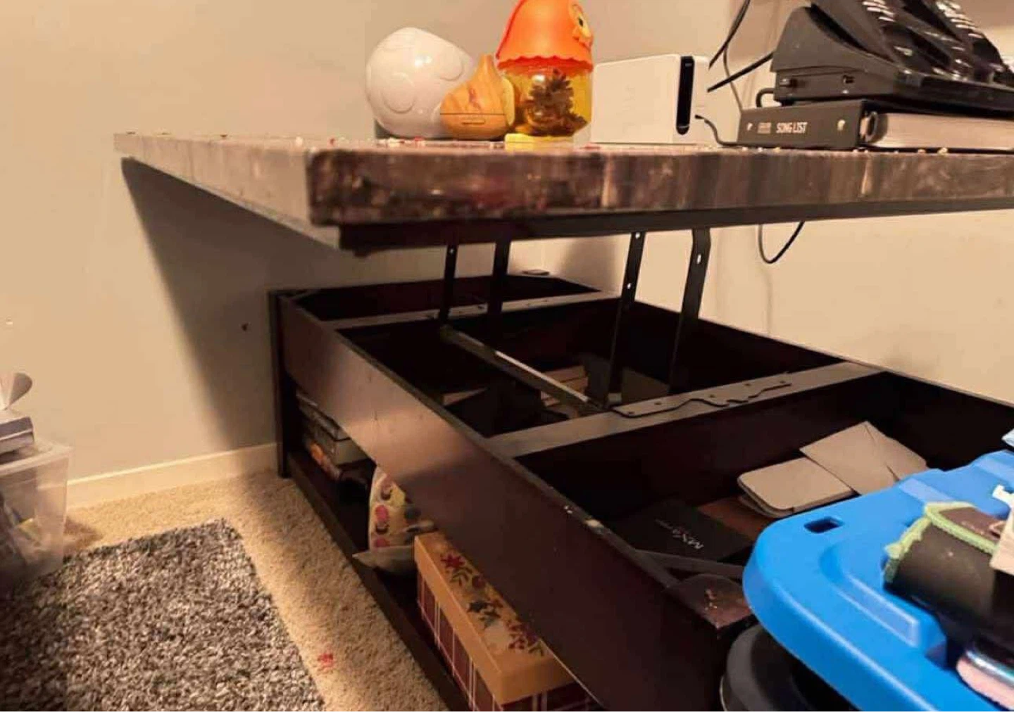 Petrified Wood Coffee Table