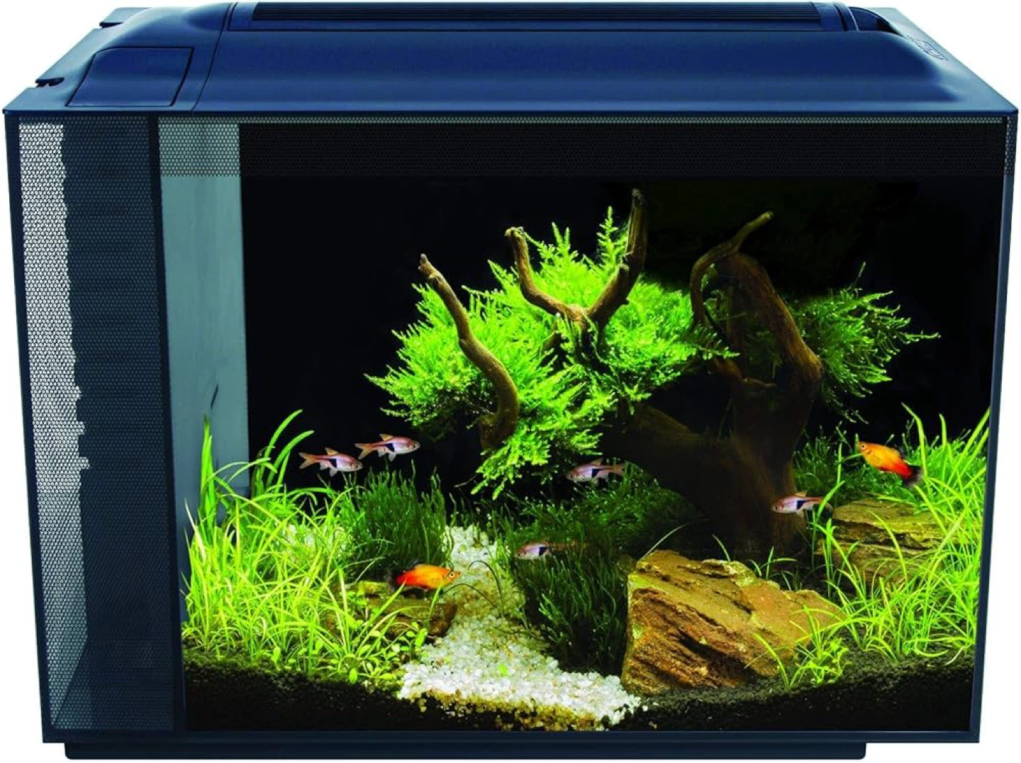 Fluval Spec 60L Aquarium