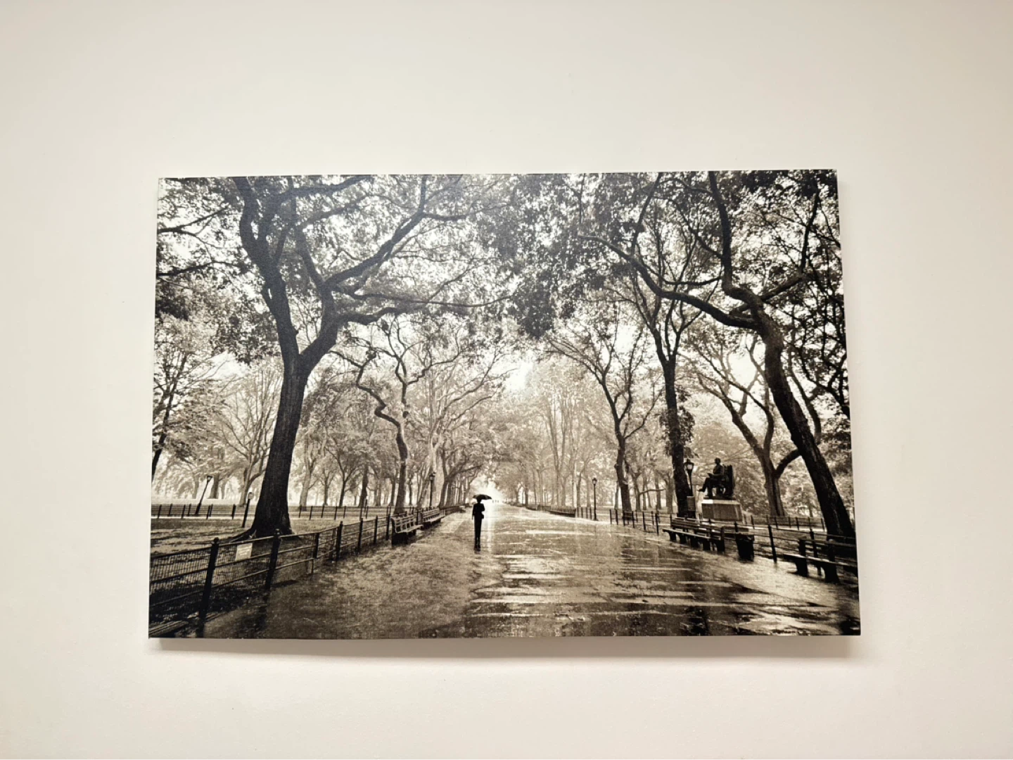 Black and White Park Scene Wall Art