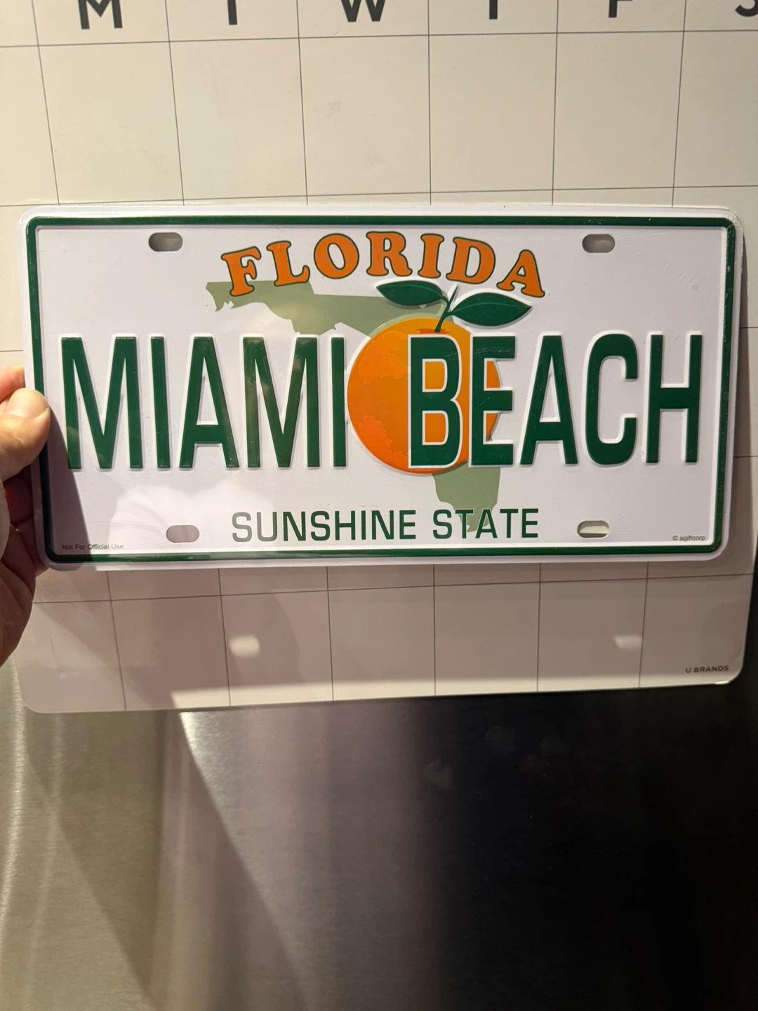 Florida Miami Beach Sunshine State License Plate