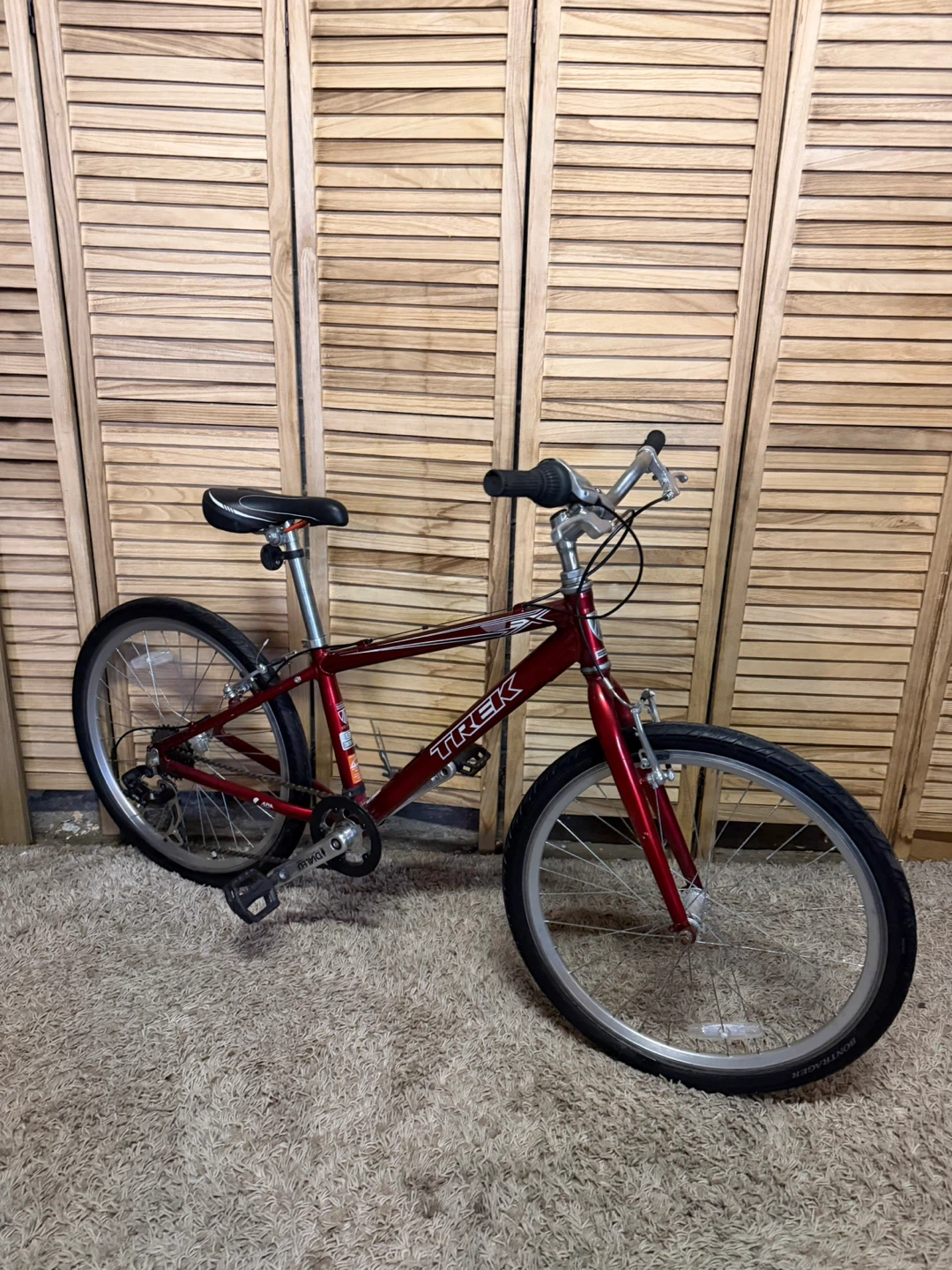 Trek Bike