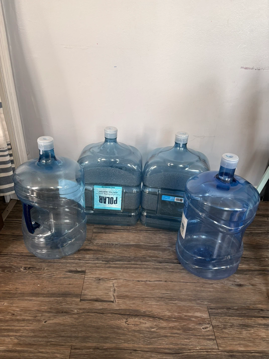 Polar Arctic Water Jugs - 4 Count