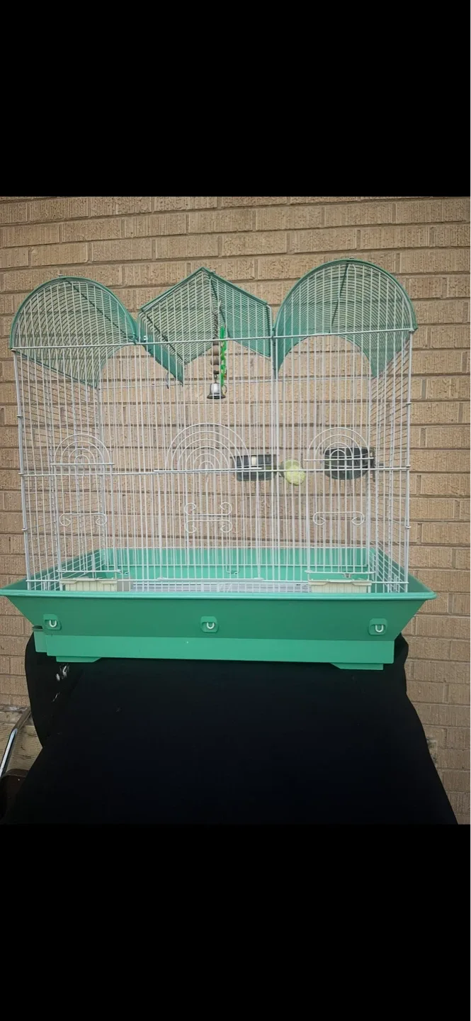 Green Bird Cage with Accessories
