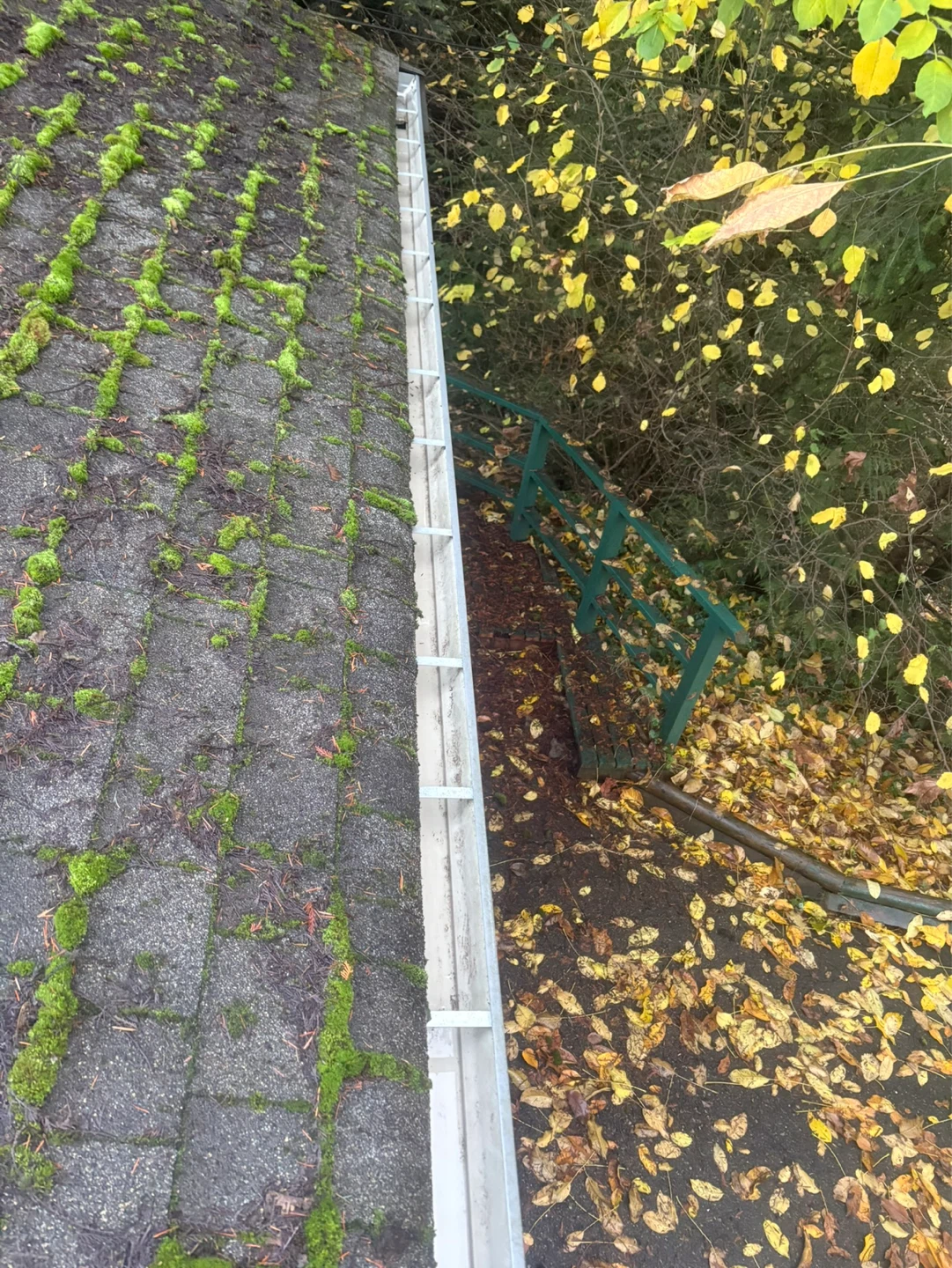 Sudsy's Home and Yard Care Services - photo 3