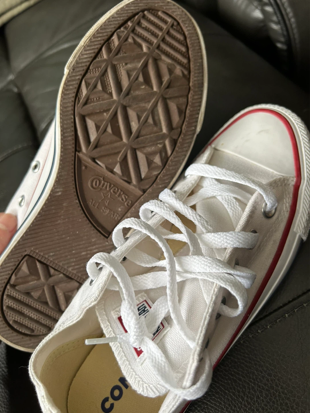 Converse All Star Sneakers