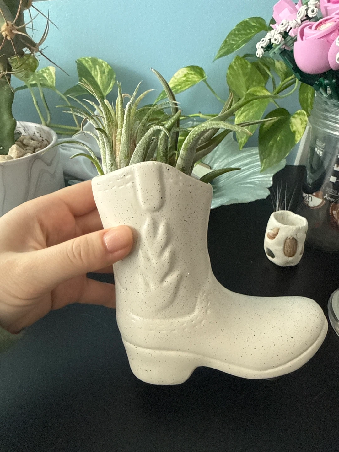 Cowboy Boot Planter with Air Plants - photo 2
