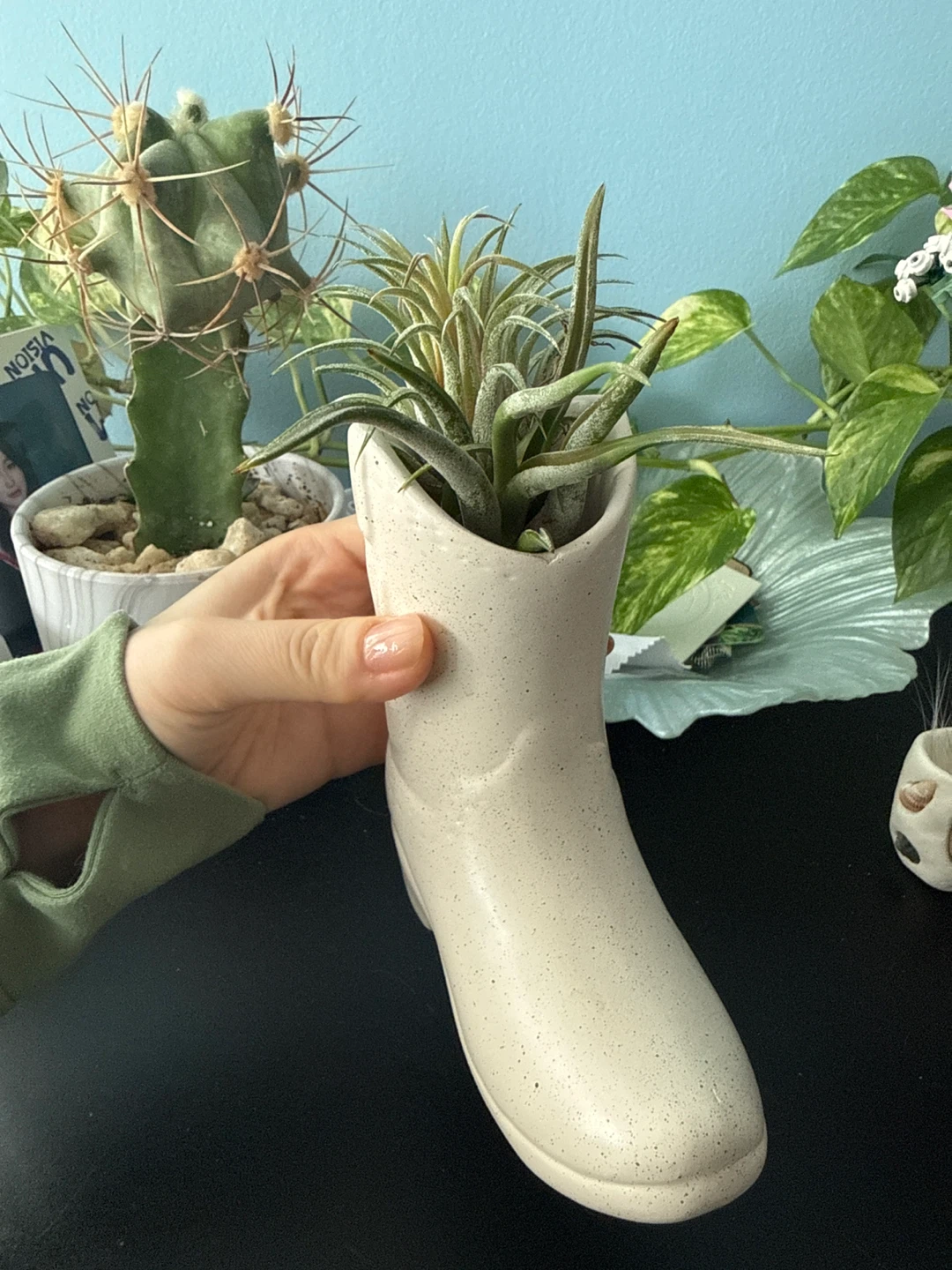 Cowboy Boot Planter with Air Plants - photo 4