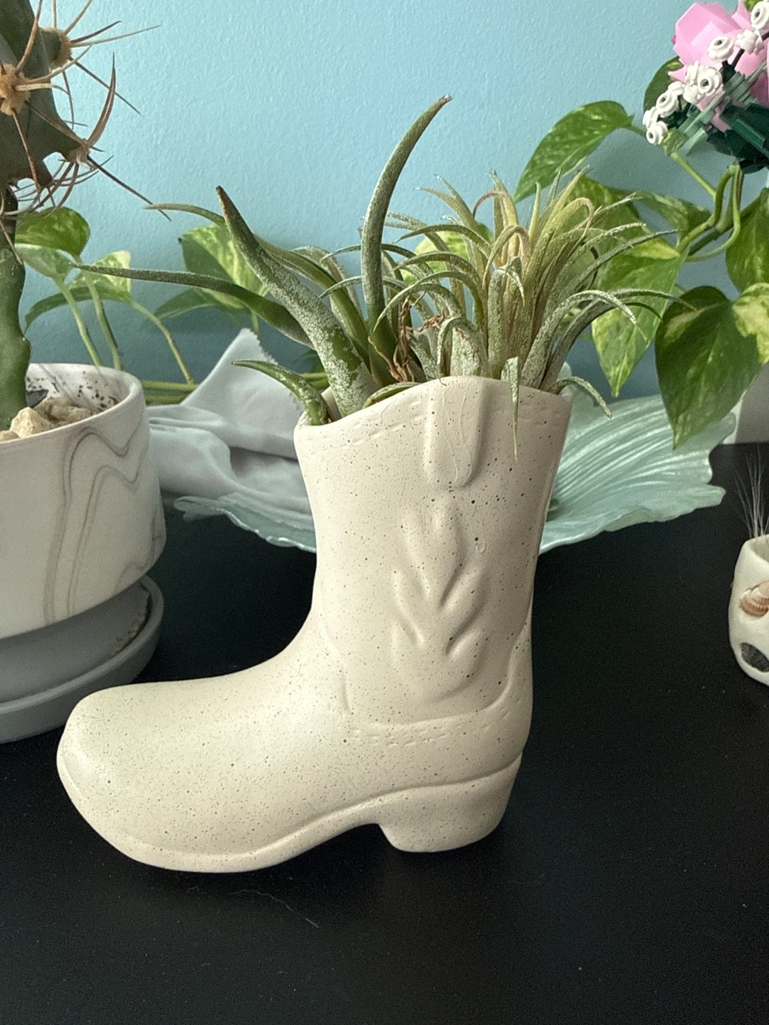 Cowboy Boot Planter with Air Plants