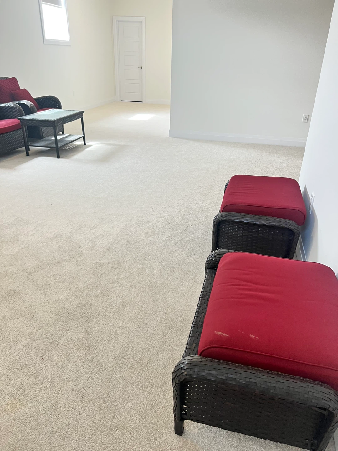 Premium Carpet Flooring - Brand New - Ready for pickup - photo 3