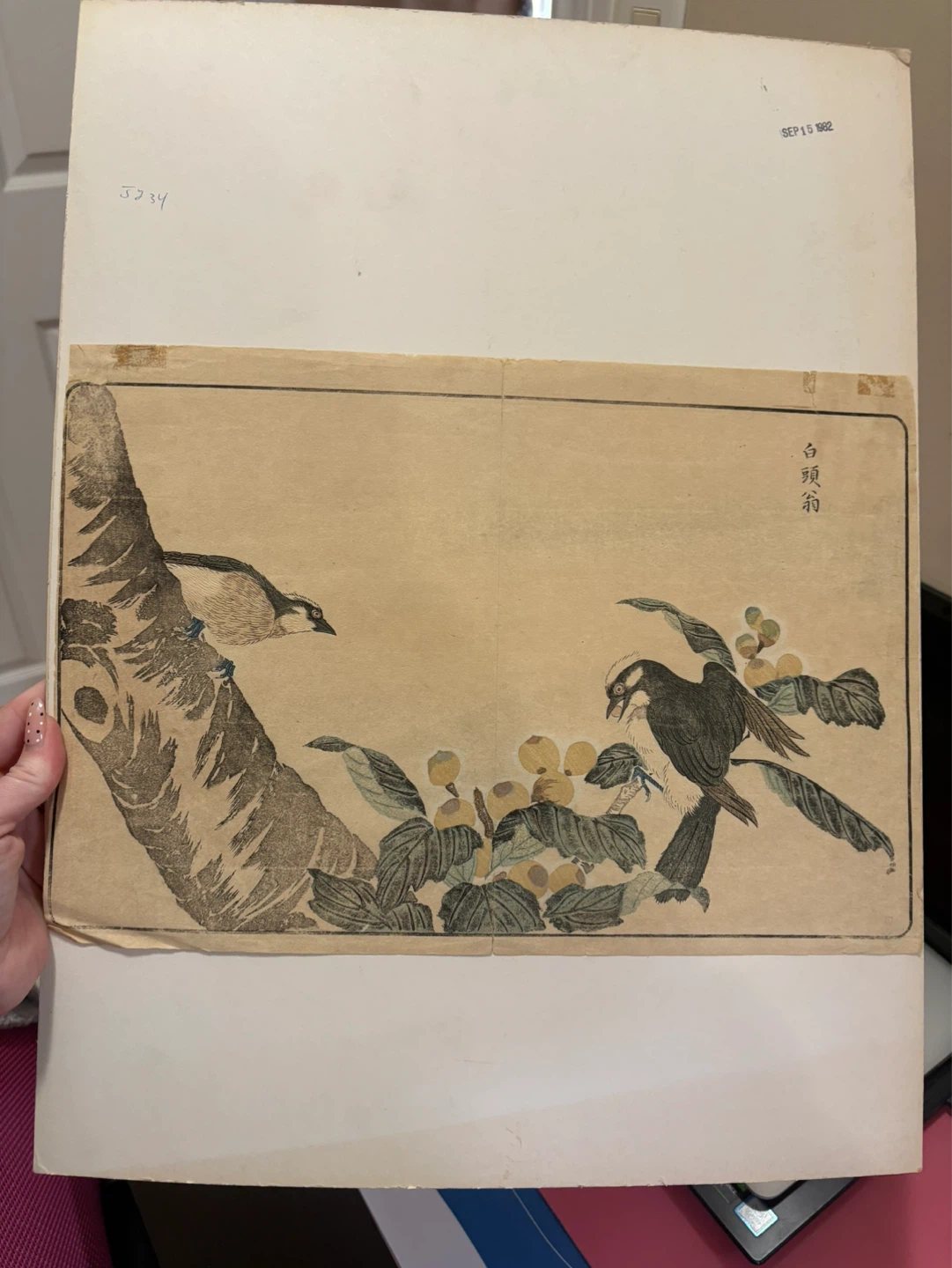 KITAO MASAYOSHI Gray Starlings and Loquat Tree Woodblock Print - photo 2