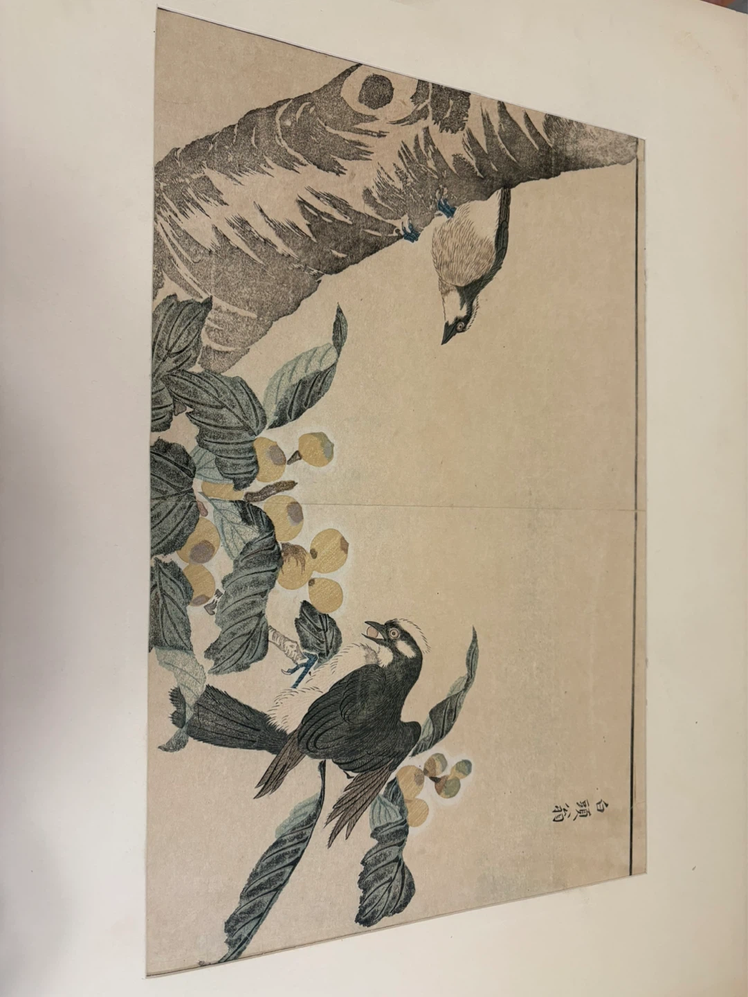 KITAO MASAYOSHI Gray Starlings and Loquat Tree Woodblock Print - photo 5